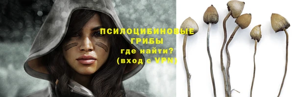 ALPHA PVP Верхний Тагил